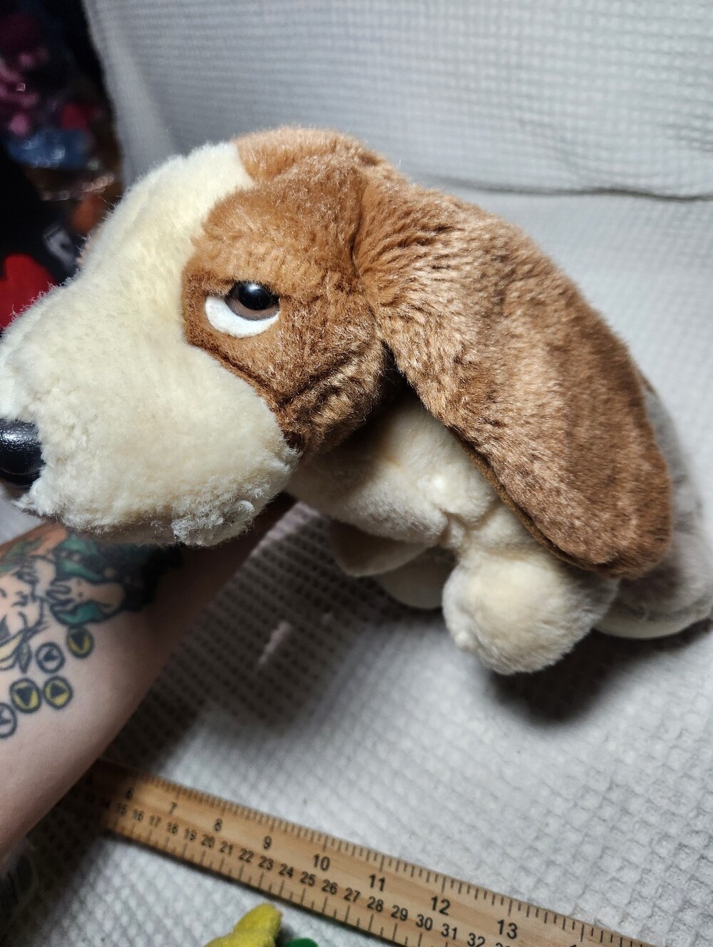 Ty Beanie Buddy Tracker the Basset Hound plush toy - Picture 14 of 15